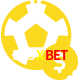 Aposte em esportes do mundo todo no 555XBET!